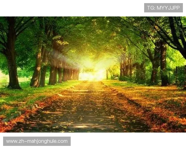 网赌pg游戏下载流程详解以及常见问题的解决方案帮助玩家顺利体验游戏